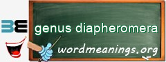 WordMeaning blackboard for genus diapheromera